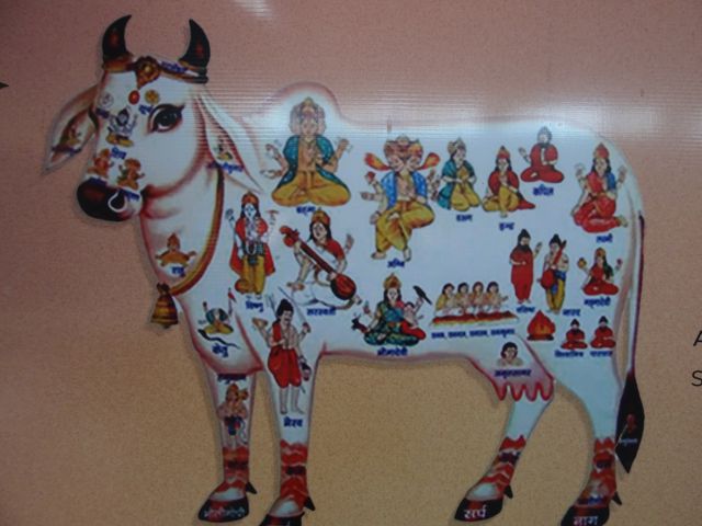 Siliguri
